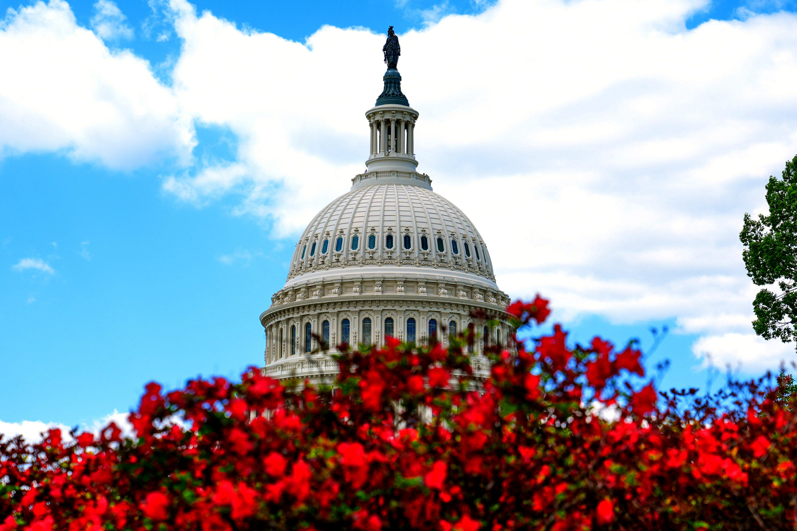 the-senate-vetoes-betting-on-prediction-markets-for-its-members-and-employees