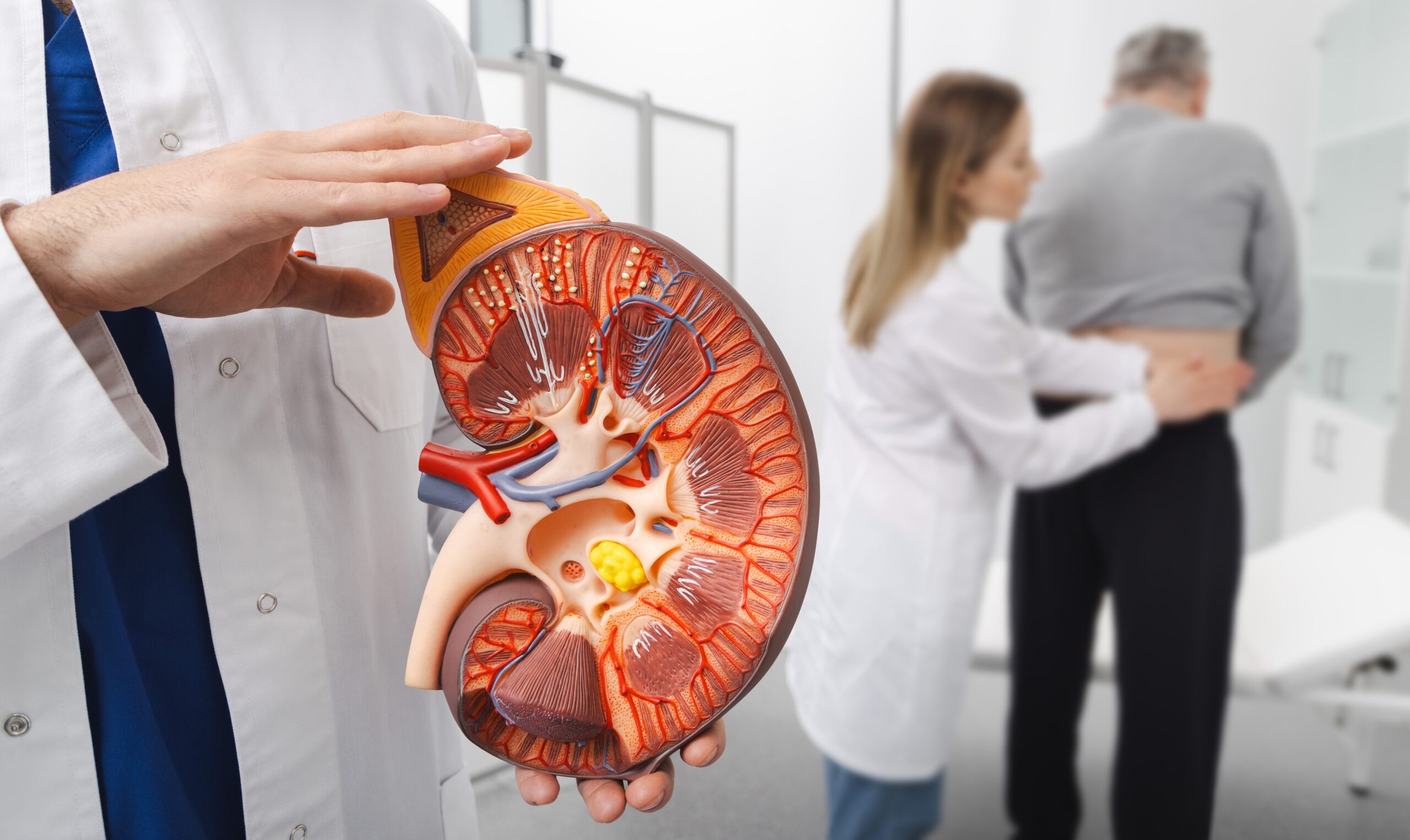 how-to-know-if-your-kidneys-are-healthy:-the-most-effective-method,-according-to-a-nephrologist