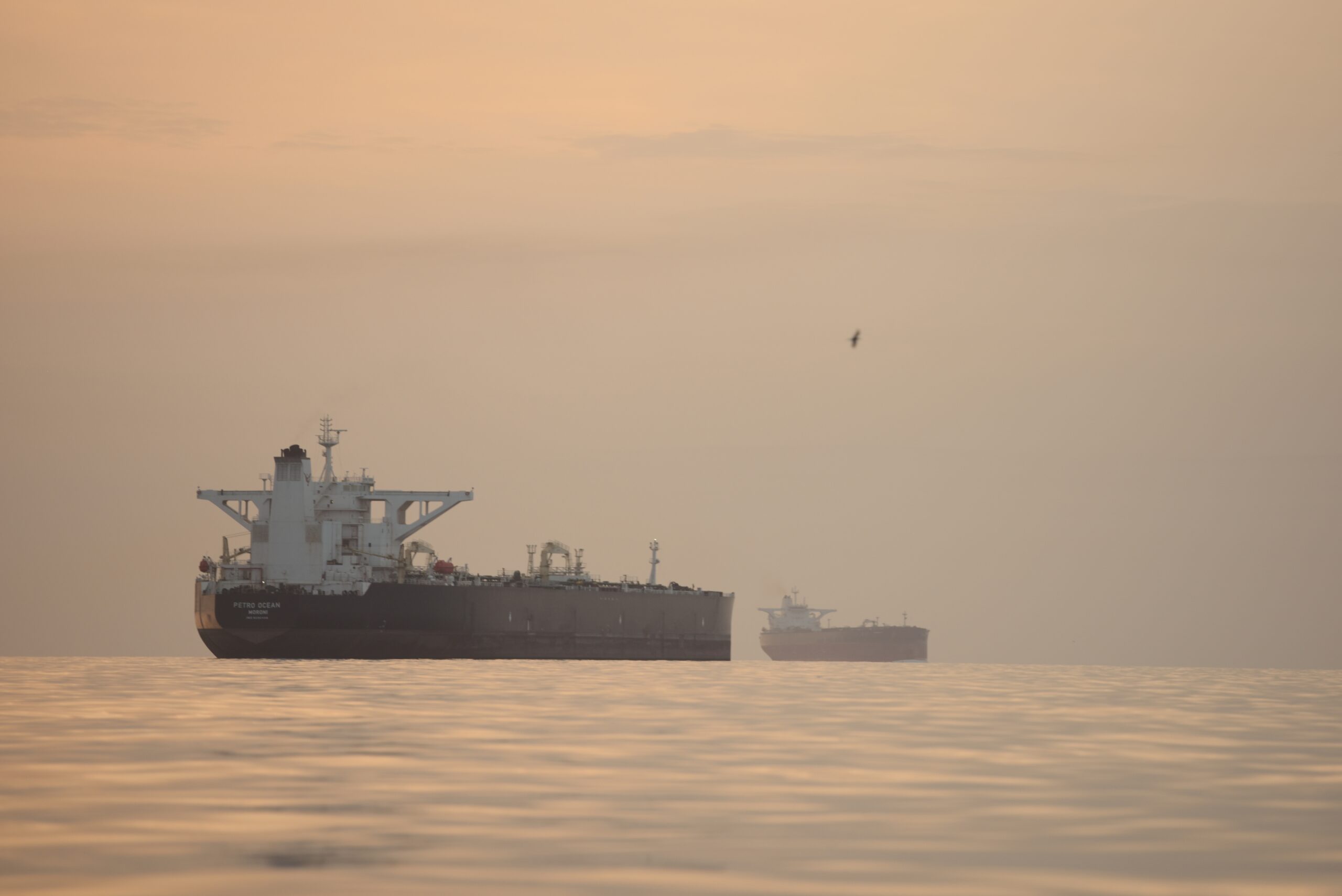 the-us-facilitates-the-transit-of-two-ships-in-hormuz-as-part-of-“project-freedom”